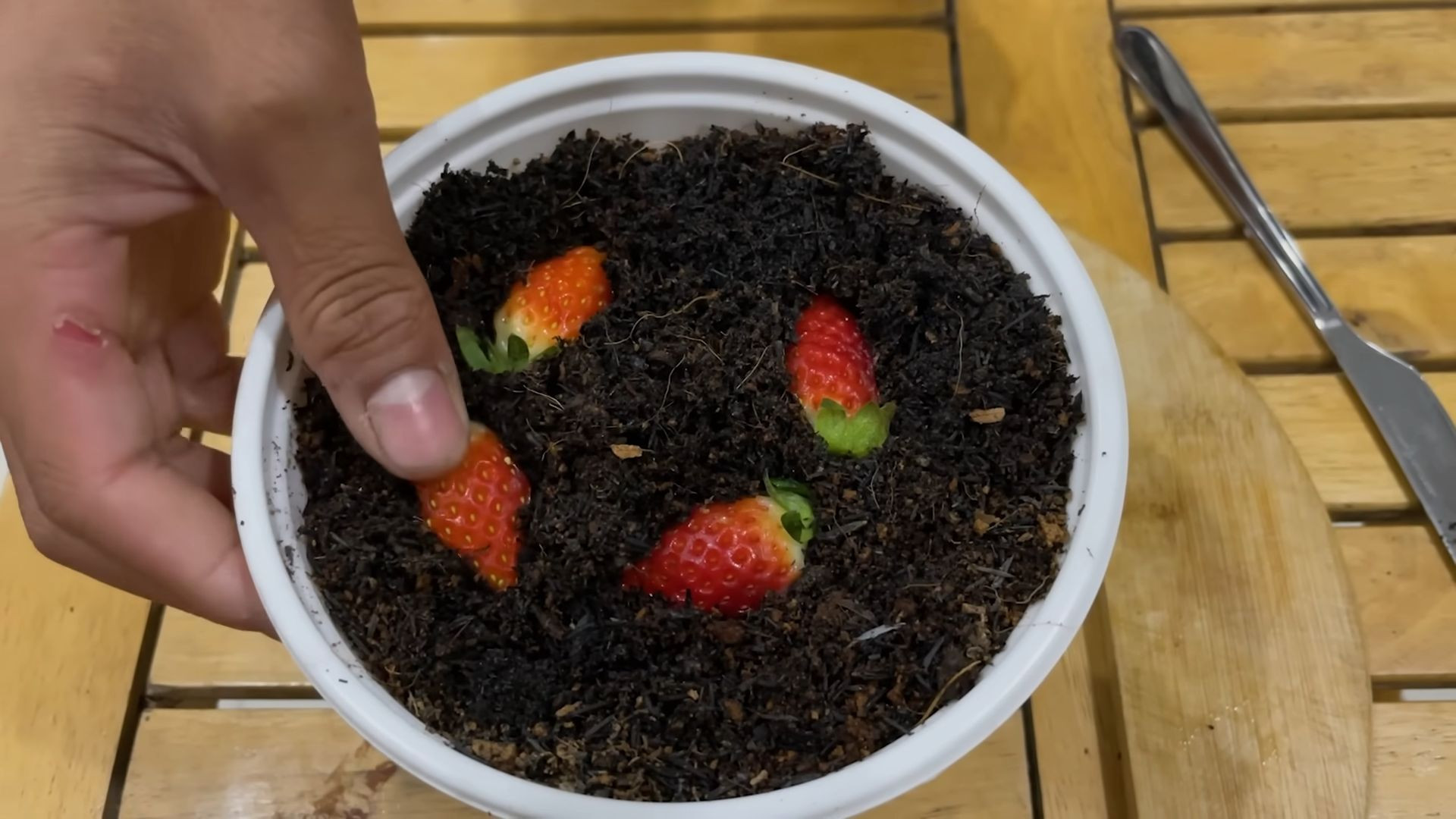 Erdbeeren zu Hause anbauen