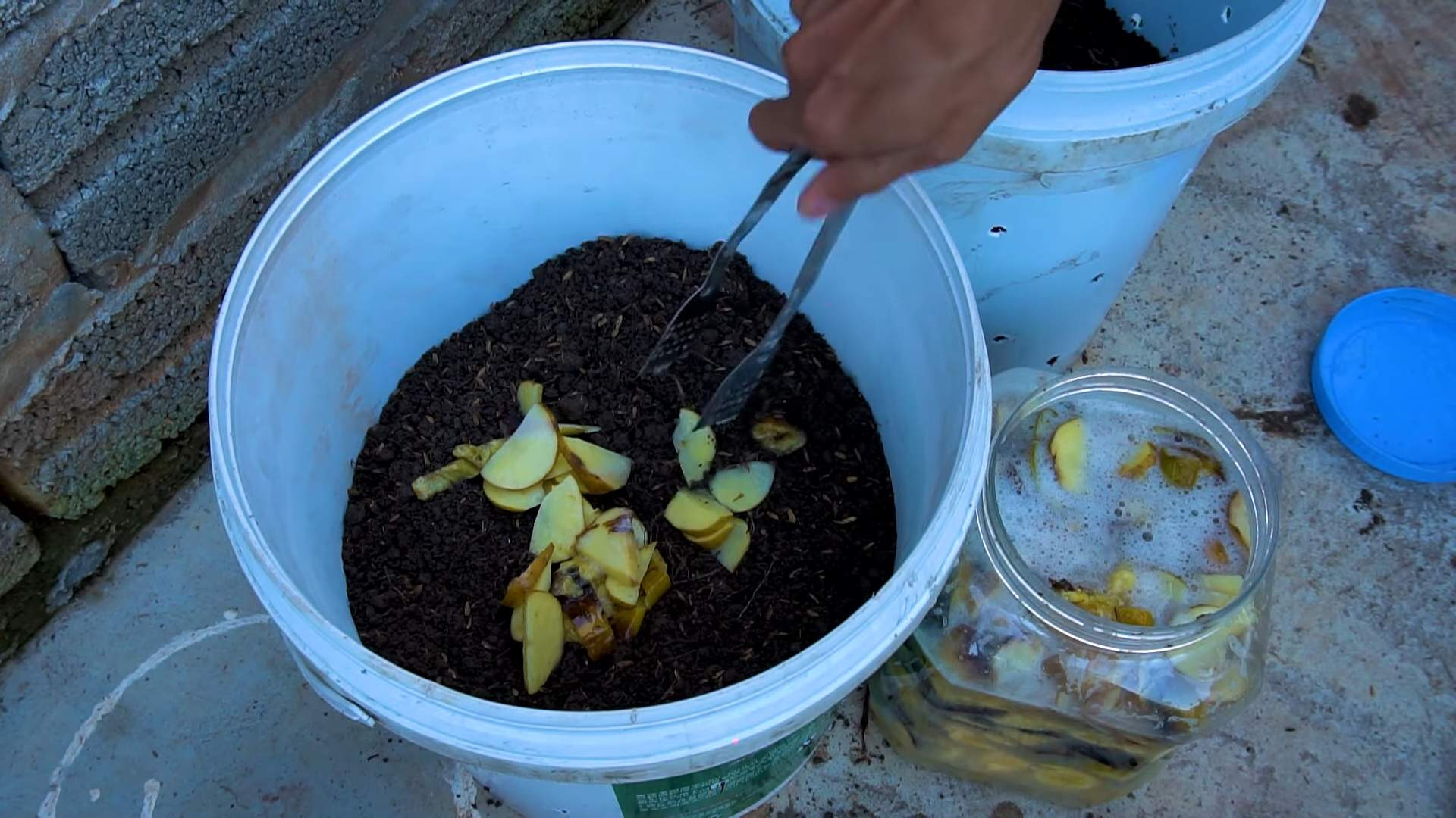 Kartoffeln mit Eiern und Milch anbauen