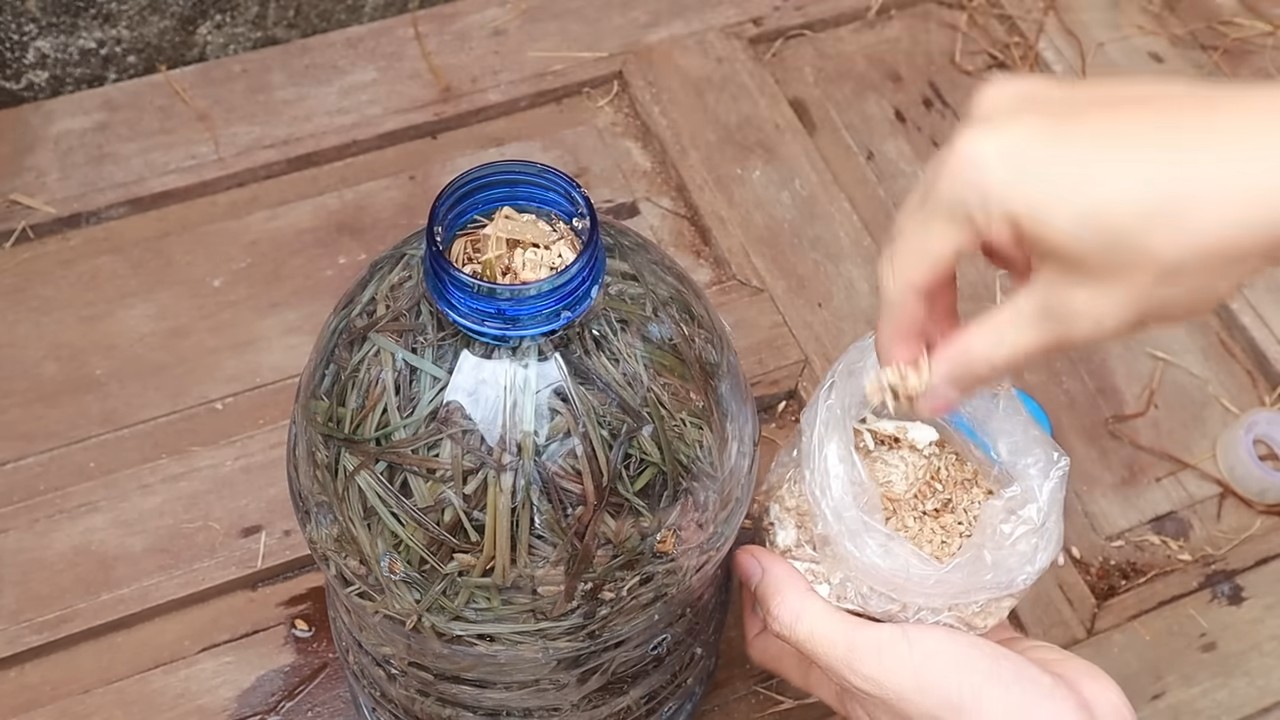 Pilze züchten Plastikflaschen