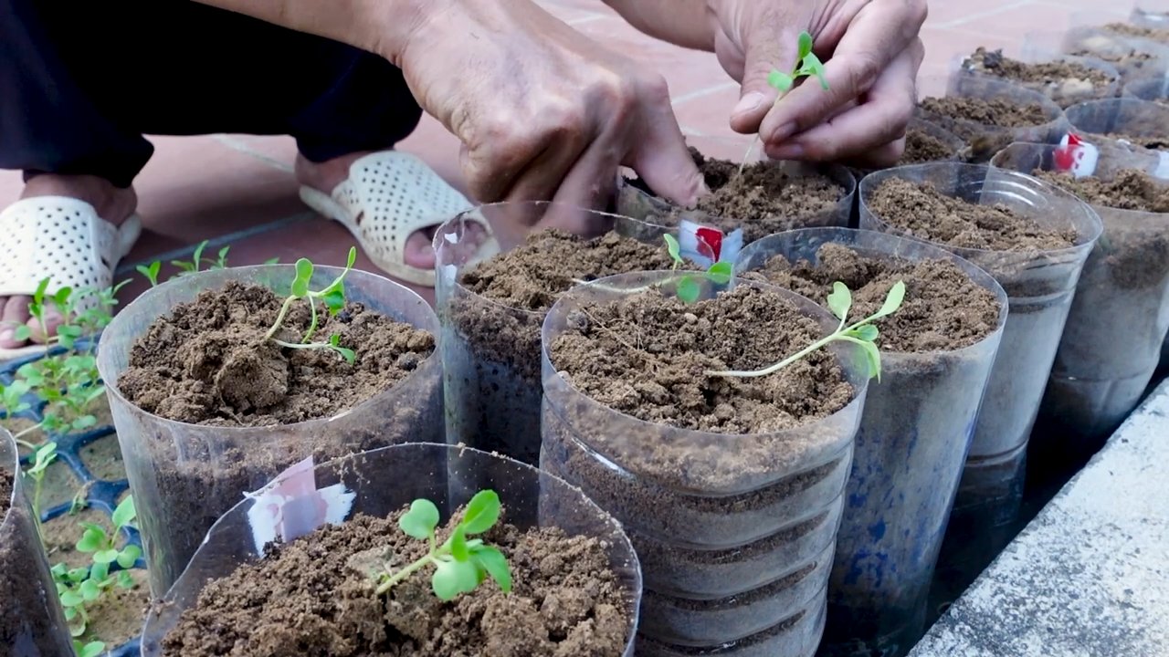 Indoor Garten Hack