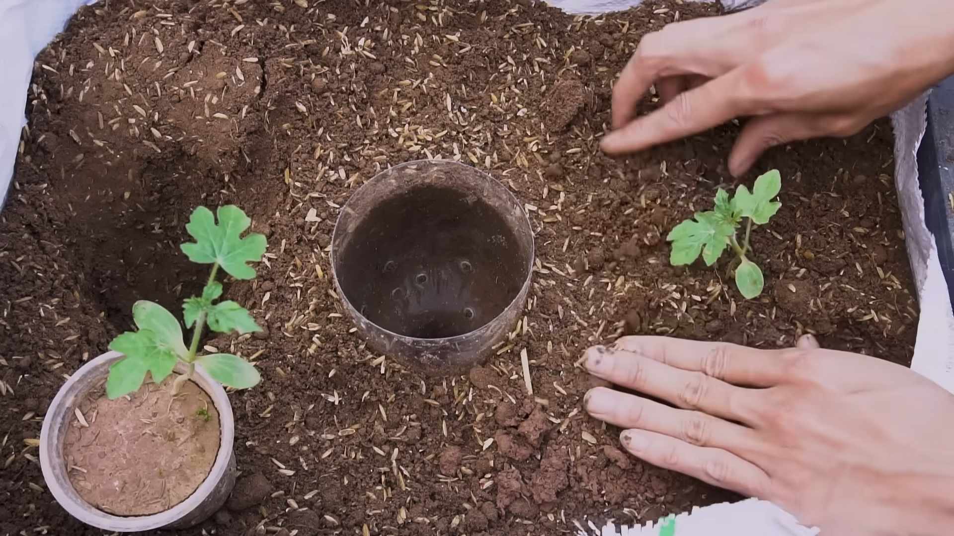 Hängematte für Wassermelone selber bauen